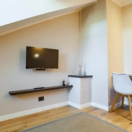 Vittorio 73 Luxury Apartment Turin