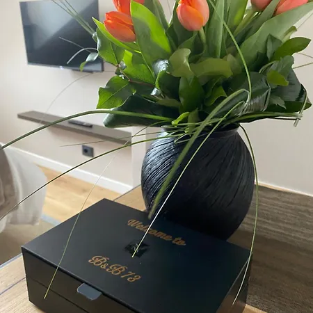 Appartement Vittorio 73 Luxury Turijn