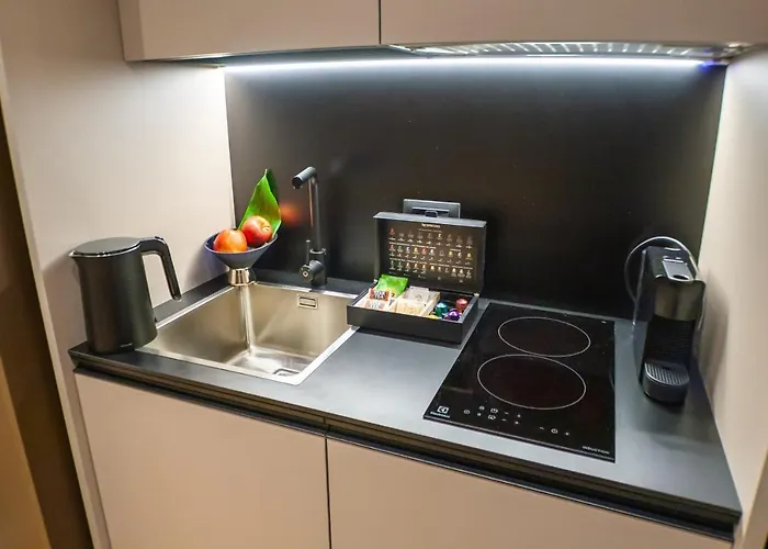 Vittorio 73 Luxury Apartment Turin